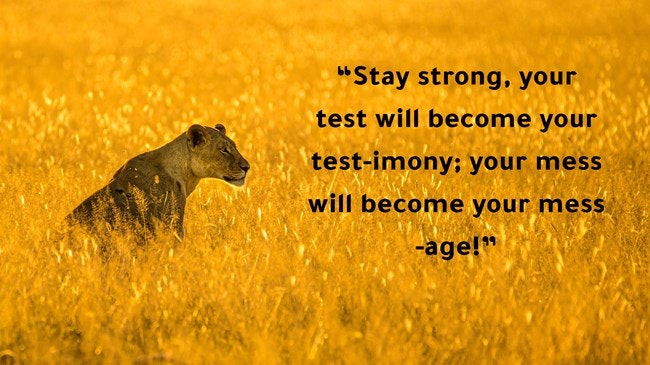 Frasi motivazionali Università StudySmarter Magazine