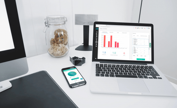 How the StudySmarter App works