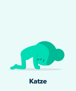 Yoga Übungen, Katze, StudySmarter Magazine