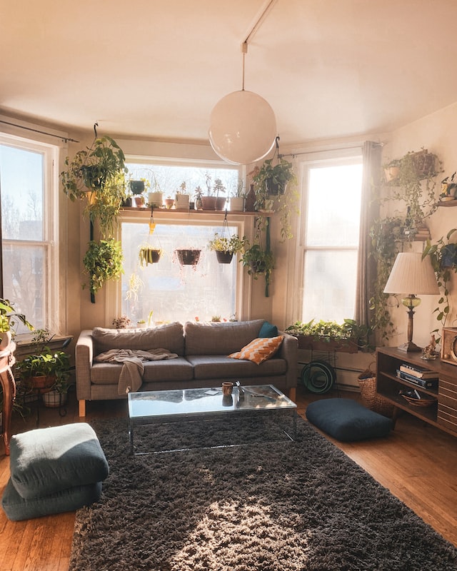 Urban Jungle - Mit diesen Pflanzen kannst du dein Zimmer lebendiger machen, Urban Jungle Pflanzen Deko, StudySmarter Magazin