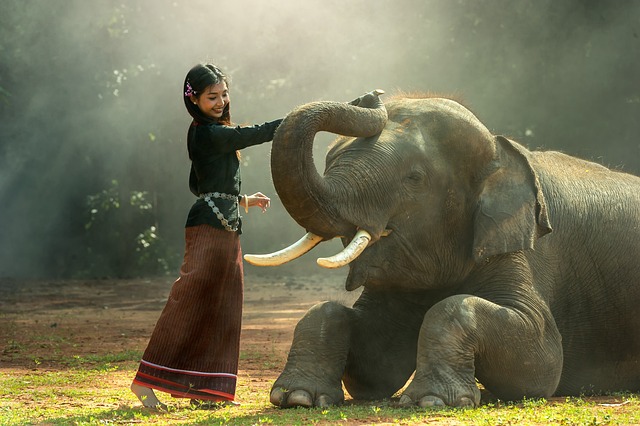 A young, smiling woman petting an elephant's trunk. Vaia Magazine